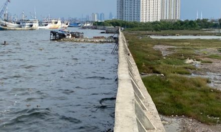 Air Pasang Tinggi: Ancaman Nyata Bagi Wilayah Pantai