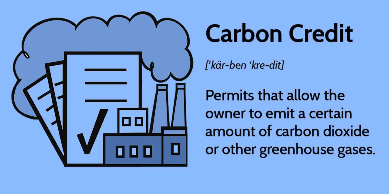 Carbon Credit Peluang Bisnis Baru Di Era Perubahan Iklim