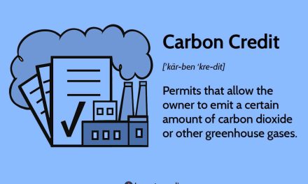 Carbon Credit Peluang Bisnis Baru Di Era Perubahan Iklim