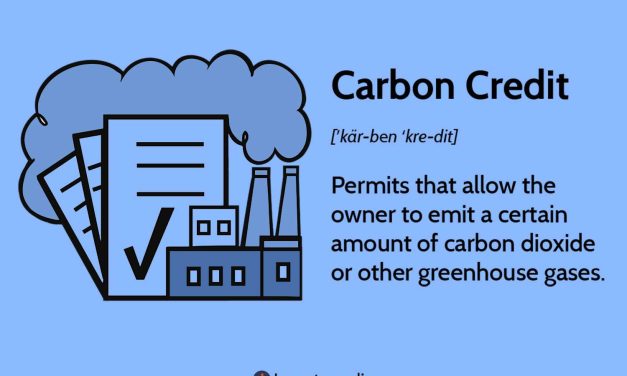 Carbon Credit Peluang Bisnis Baru Di Era Perubahan Iklim
