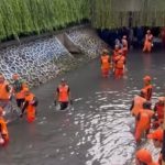 Darurat Ekosistem Sungai Jakarta: Ancaman Serius Lingkungan