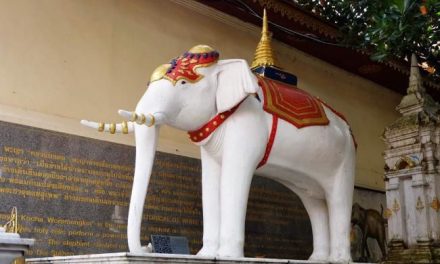 Jastip Bangkok: Peluang Bisnis Dari Negeri Gajah Putih