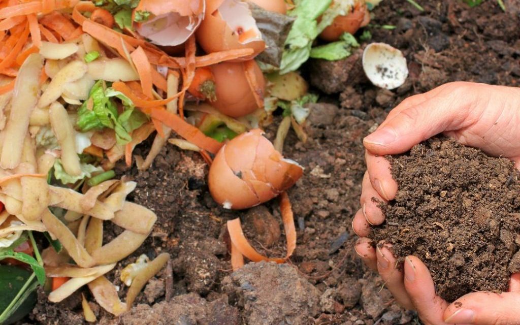 Kompos: Solusi Ramah Lingkungan Untuk Mengolah Sampah