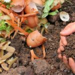 Kompos: Solusi Ramah Lingkungan Untuk Mengolah Sampah