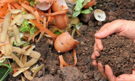 Kompos: Solusi Ramah Lingkungan Untuk Mengolah Sampah