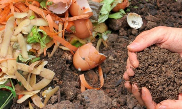 Kompos: Solusi Ramah Lingkungan Untuk Mengolah Sampah