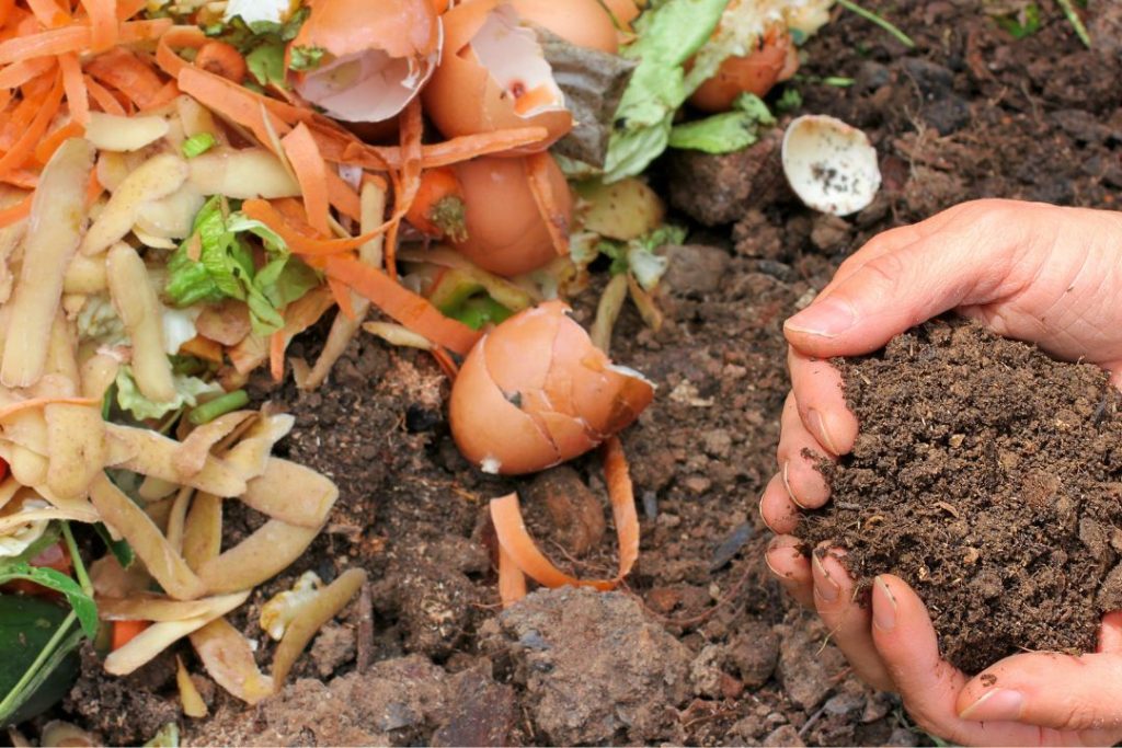 Kompos: Solusi Ramah Lingkungan Untuk Mengolah Sampah