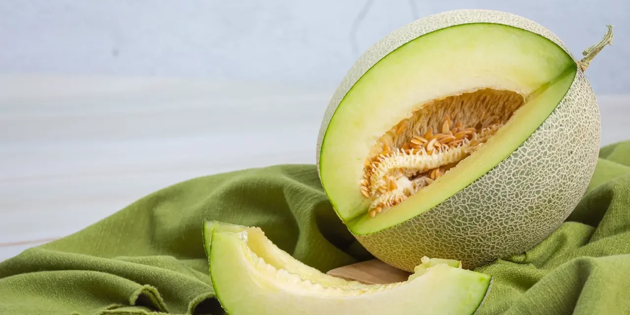 Kandungan Nutrisi Buah Melon Yang Baik Bagi Daya Tahan Tubuh