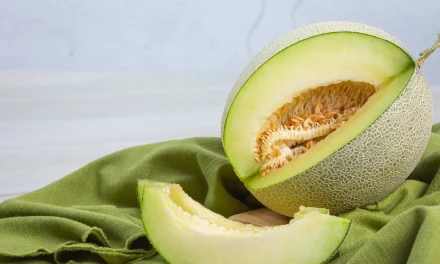 Kandungan Nutrisi Buah Melon Yang Baik Bagi Daya Tahan Tubuh