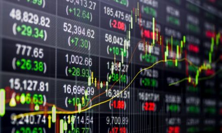 Strategi Investasi Untuk Pemula Di Tengah Volatilitas Pasar