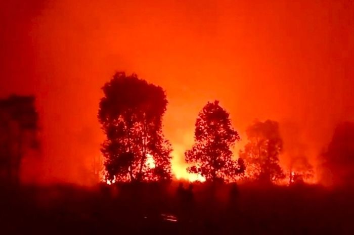 Kebakaran Hutan Dan Satwa Di Way Kambas Apa Pencegahannya