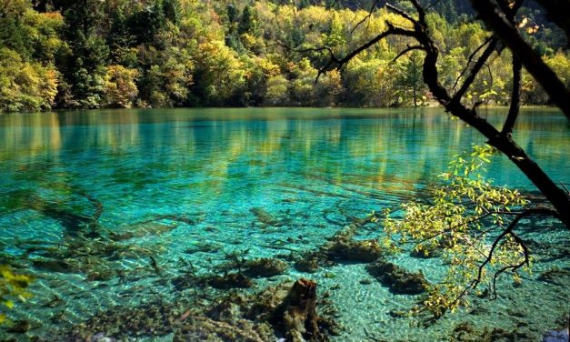 Jambi: Menjelajahi Keindahan Alam, Budaya, Dan Destinasi Wisata