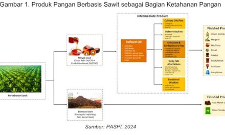 Turunan Sawit: Beragam Produk Dihasilkan Dari Kelapa Sawit