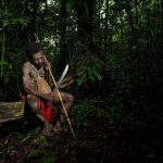 Pemulihan Hutan Papua: Menyelamatkan Habitat Satwa Endemik