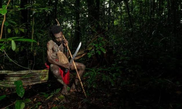 Pemulihan Hutan Papua: Menyelamatkan Habitat Satwa Endemik
