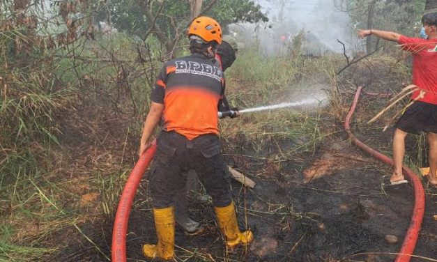 Pemulihan Lahan Gambut: Strategi Mencegah Kebakaran Berulang