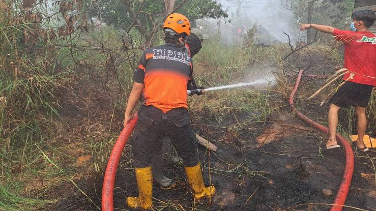 Pemulihan Lahan Gambut: Strategi Mencegah Kebakaran Berulang