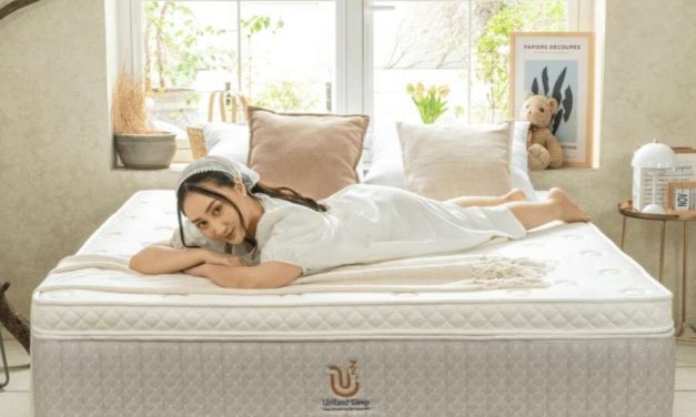 Tempat Tidur Lateks: Mengenal Keunggulan Dan Cara Memilih